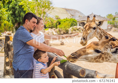 Happy mother, father and son watching and... - Stock Photo [67276141] -  PIXTA