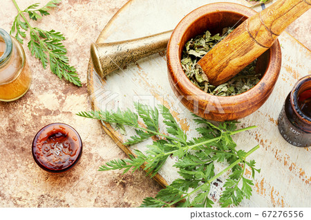 Wild carrots in herbal medicine 67276556
