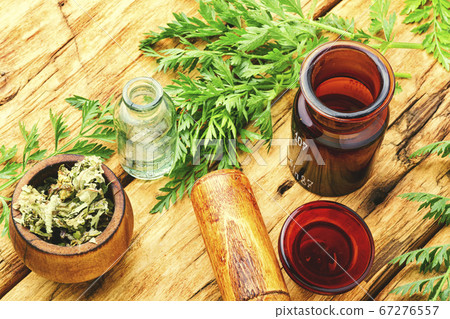 Wild carrots in herbal medicine Wild carrots in herbal medicine 67276557