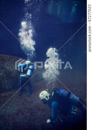 Diver cleaning inside aquarium tank Diver cleaning inside aquarium tank 67277025
