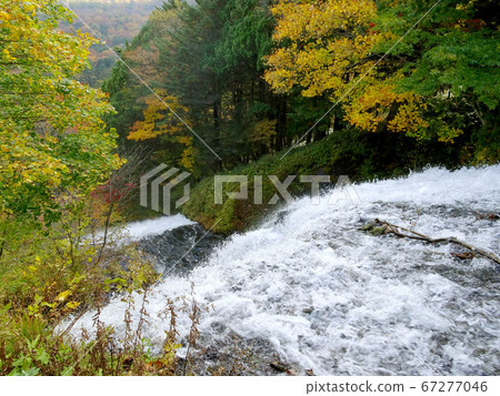 A view of the autumn waterfall from above [Yu-taki / Nikko City, Tochigi Prefecture] 67277046