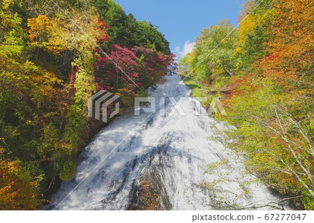 A large waterfall looking up from the front [Yu-taki / Nikko City, Tochigi Prefecture] 67277047