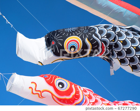 Carp streamer 67277290