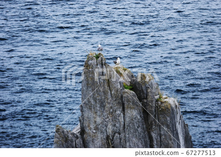 Kesennuma Karakuwa Peninsula Scenery Oriishi 67277513