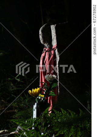 Wild Buddha 67278902