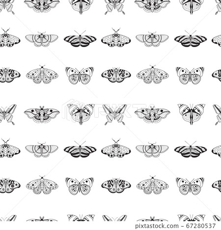 Exotic Moth and Tropical Butterfly Seamless Pattern Exotic Moth and Tropical Butterfly Seamless Pattern 67280537