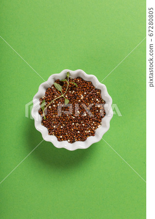 Quinoa in white bowls 67280805