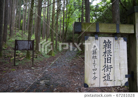 箱根老路 67281028