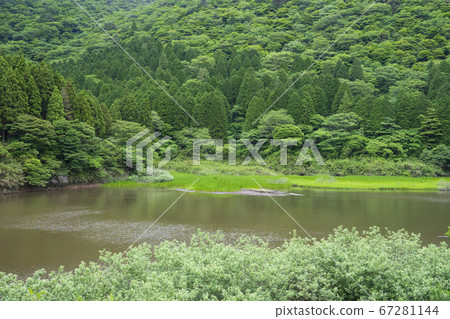箱根小池池 67281144