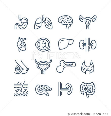 19_organ_set.eps 67281565