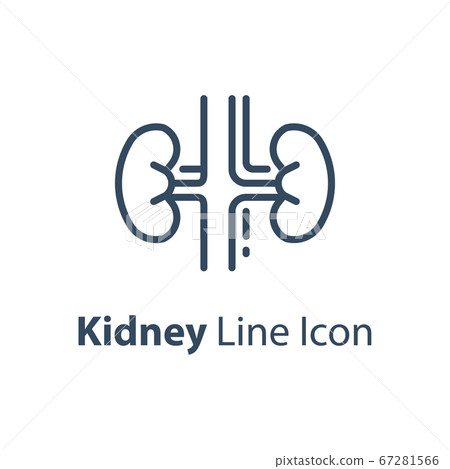 19_organ_Kidney.eps 67281566