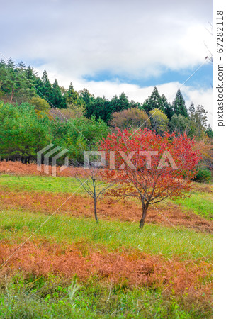 Phantom Genze滑雪勝地（京都府福知山市八庫野市）*圖片在註釋部分 67282118
