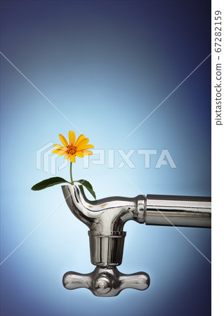 flowers sprouted in the metal tap eco concept 67282159