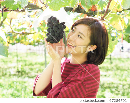 A woman with a hand on a grape vine grape 67284791