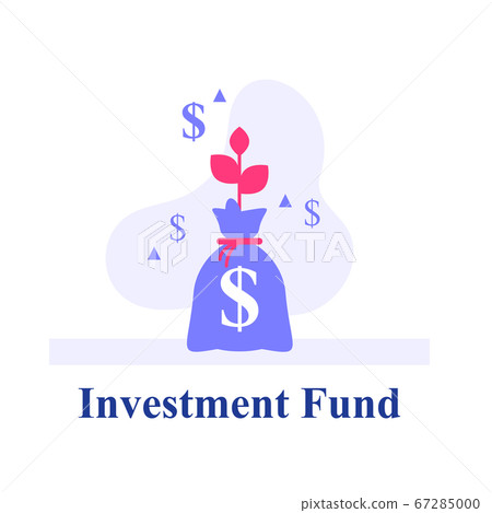 20_invest_bag_1.eps 67285000