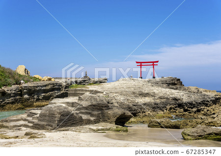 白濱神社Kaigan Torii 白濱神社Kaigan Torii 67285347