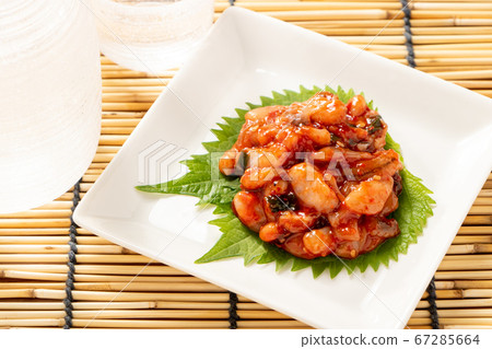 在大葉子上,章魚泡菜。夏天緣故(冷緣故)快餐的圖像。 在大葉子上,章魚泡菜。夏天緣故(冷緣故)快餐的圖像。 67285664