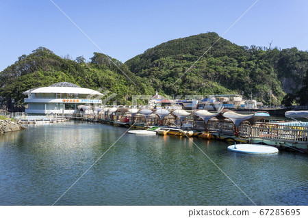下田海洋水族館 下田海洋水族館 67285695