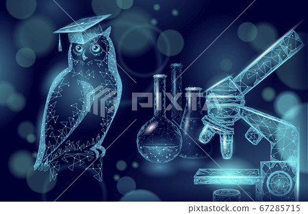 Owl bird symbol of wise education. E-learning distance concept. Graduate science chemistry certificate program concept. Low poly 3D internet education course degree vector illustration 67285715