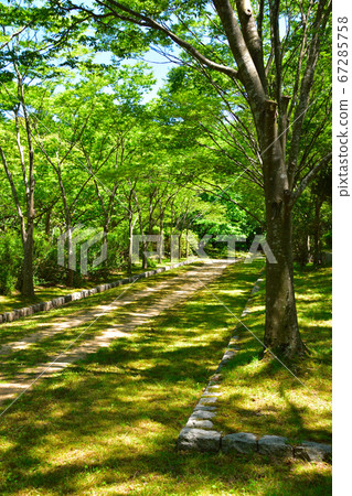 公園人行道 67285758