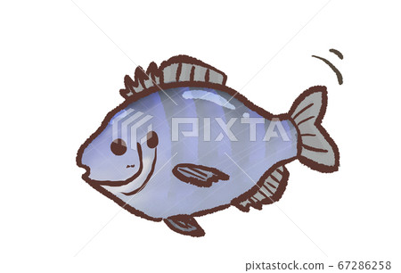 R: fairy tale aquarium exotic bluegill 1 R: fairy tale aquarium exotic bluegill 1 67286258