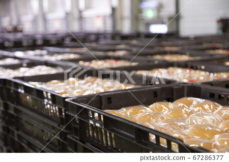 麵包廠 麵包廠 67286377