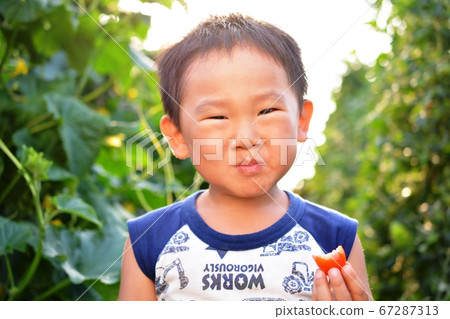 Boy eating tomato Boy eating tomato 67287313