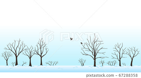 Snow covered trees and birds landscape Winter scenery 67288358