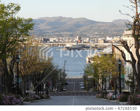 從山頂看函館港 67288530