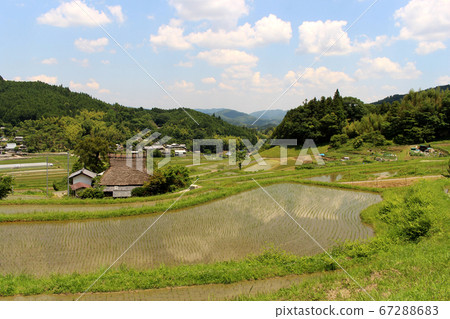 Rice terrace of Hase valley Rice terrace of Hase valley 67288683