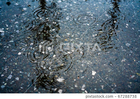 Rain puddle ripples Rain puddle ripples 67288738