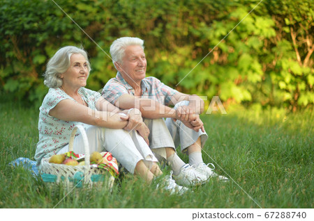 Portrait of loving elderly couple having a picnic 67288740