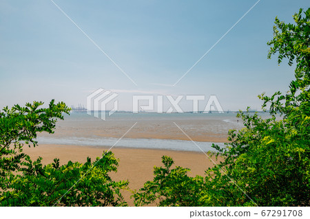 Oido seascape with green leaves in Siheung, Korea Oido seascape with green leaves in Siheung, Korea 67291708