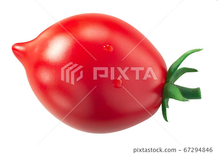 Piennolo del Vesuvio tomato, an Italian heirloom Piennolo del Vesuvio tomato, an Italian heirloom 67294846