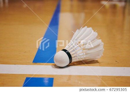 badminton 67295305