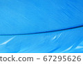 Texture, background of a blue bird's feather 67295626