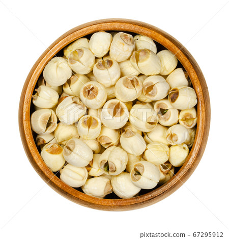 Dried shelled white lotus nuts in wooden bowl. Edible seeds of Indian lotus. Nelumbo nucifera, also known as sacred lotus, bean of India or Egyptian bean, often called water lily. Macro food photo. Dried shelled white lotus nuts in wooden bowl. Edible seeds of Indian lotus. Nelumbo nucifera, also known as sacred lotus, bean of India or Egyptian bean, often called water lily. Macro food photo. 67295912