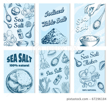 Sea salt posters and banners. Vintage labels. Octopus and squid, wooden spoons, powdered powder 67296184