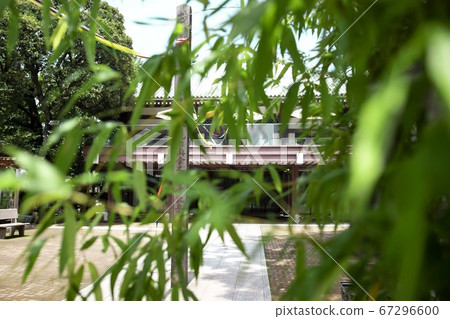 總和與自然 總和與自然 67296600