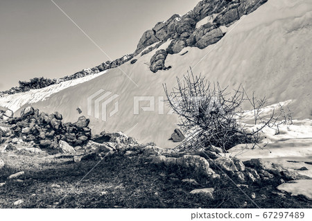 Landscape on the mountain stones, snow, under the bright sun, in black and white style Landscape on the mountain stones, snow, under the bright sun, in black and white style 67297489