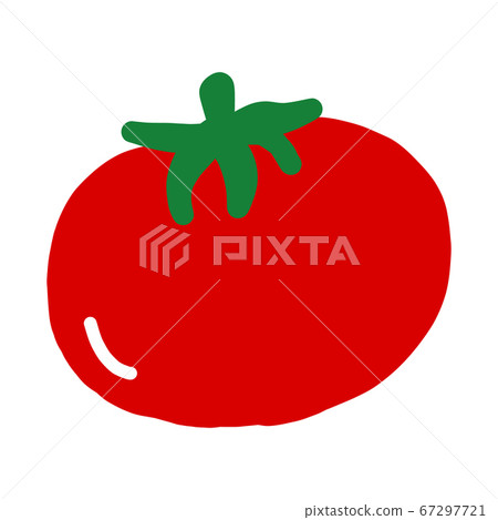 番茄彩色插圖[白色背景] 67297721