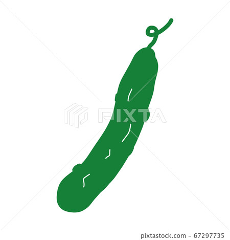 Cucumber color illustration [white background] 67297735