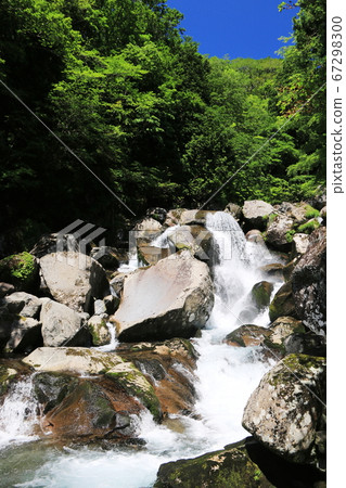 初夏山崎町的山形町 67298300