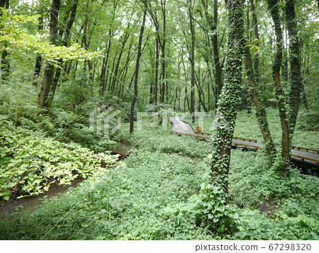 Komiya Park (57 famous spring waters in Tokyo) 67298320