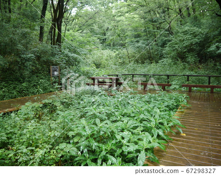 小宮公園(東京有57個著名的泉水) 小宮公園(東京有57個著名的泉水) 67298327