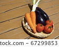 夏季蔬菜 67299853