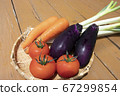夏季蔬菜 67299854