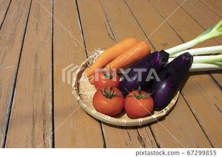 夏季蔬菜 夏季蔬菜 67299855