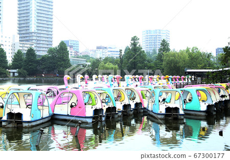 無人天鵝船 67300177