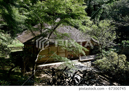 Murouji Temple Kendo 67300745